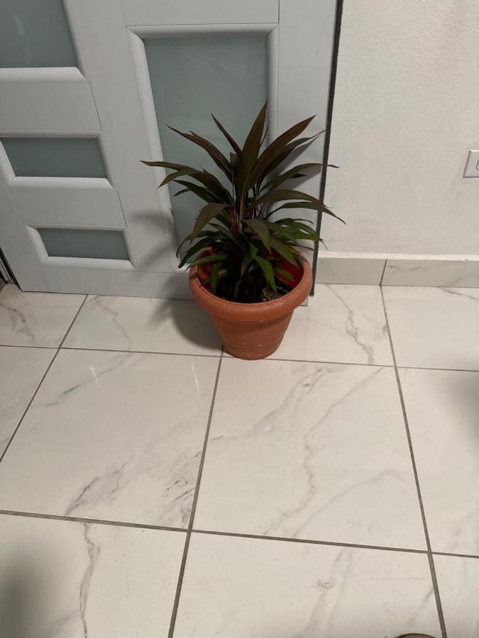 Апартаменты Second Floor 2Br Apt In The Center Of Santurce Сан-Хуан Экстерьер фото